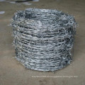 Arame farpado galvanizado galvanizado e hot-DIP do metal